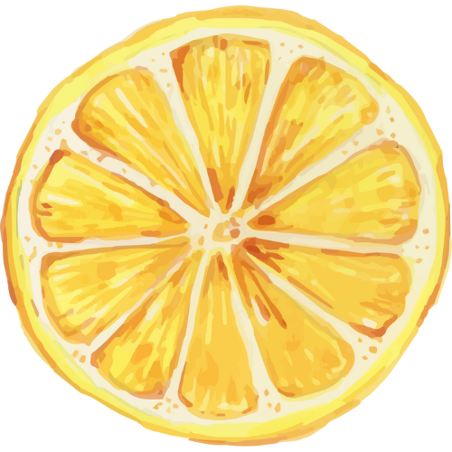 Dehydrated lemons – Les aliments Arida