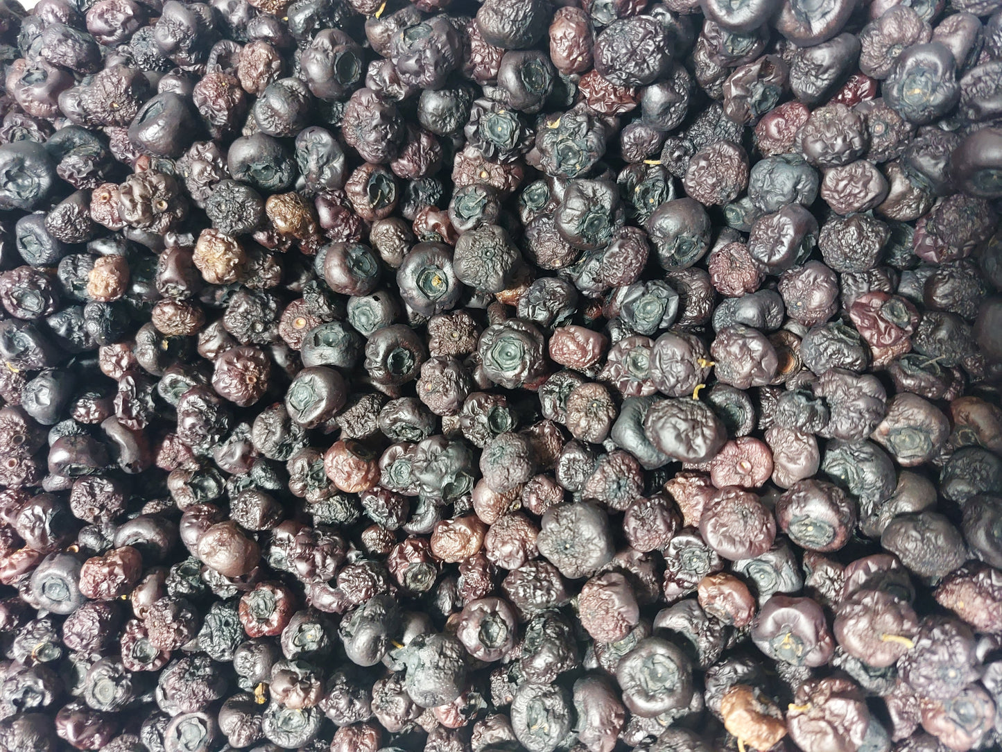 Dehydrated blueberries