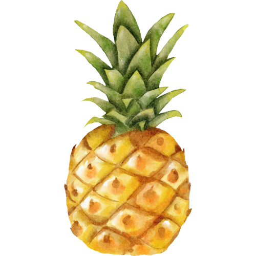 Ananas déshydratés