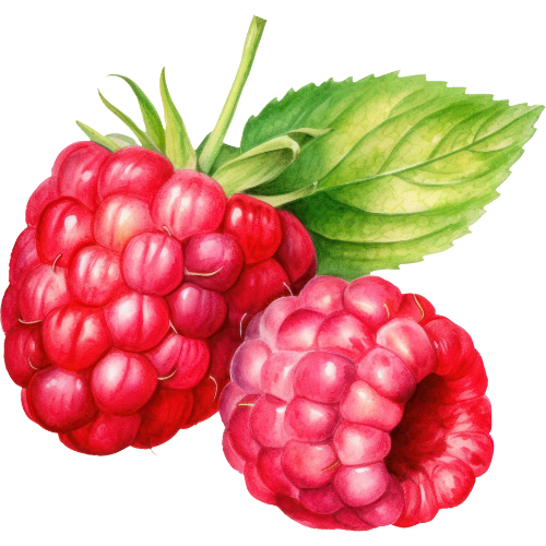 Framboises déshydratées