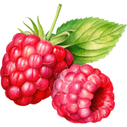 Framboises déshydratées